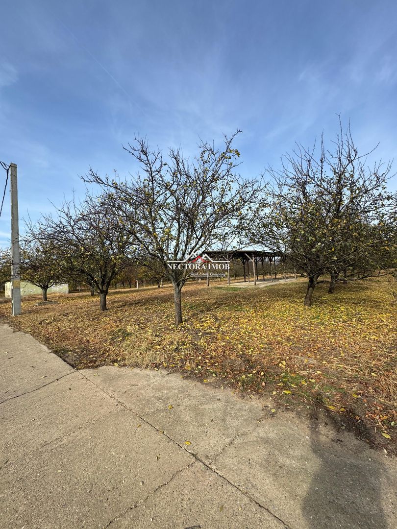 NECTORA IMOB-Teren cu livada matura+Anexa racordata la trifazic,9162mp - Poză 2