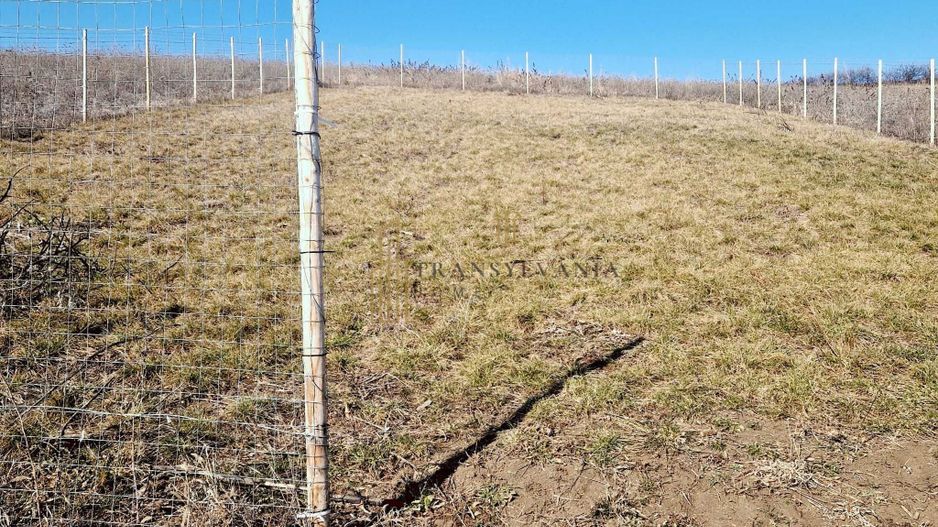 Teren cu priveliște superbă spre Sibiu și munți – Șura Mare - Poză 3