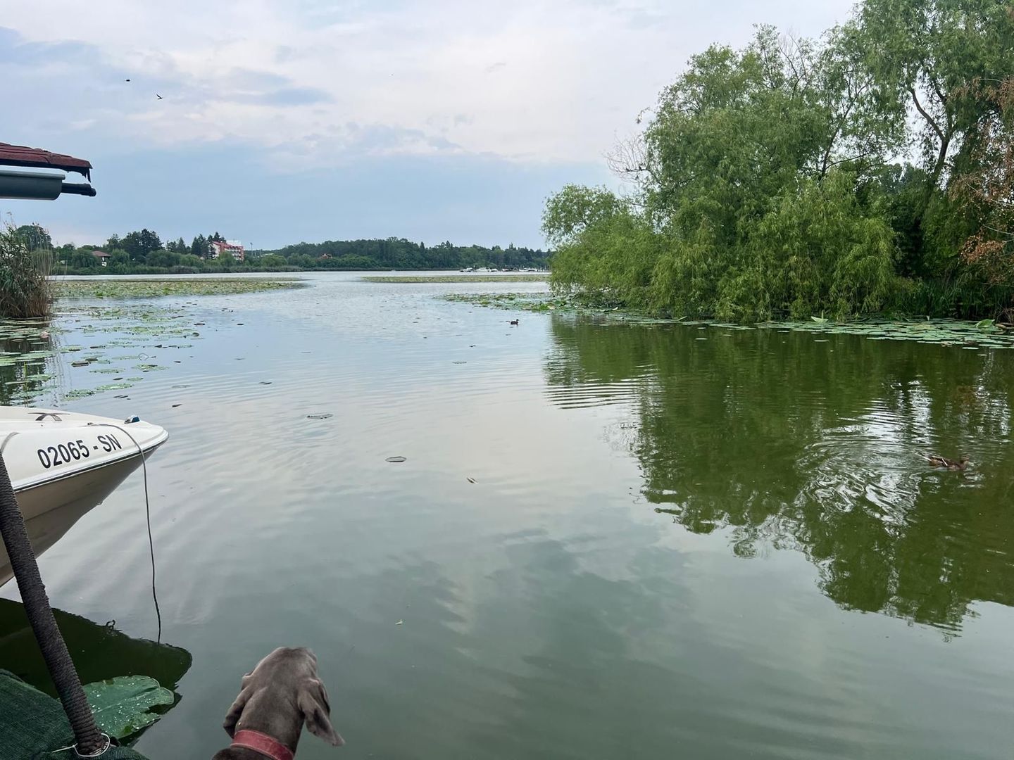 Teren cu deschidere la lac I Snagov - Poză 18