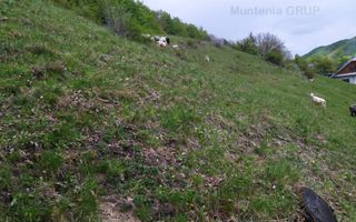 NAMAESTI - Valea Mare Pravat, 7000 mp. teren intravilan, ideal locuinta - Poză 8
