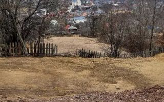 Oferta de nerefuzat, doua loturi de 1500 mp in BISTRA I Alba - Poză 1