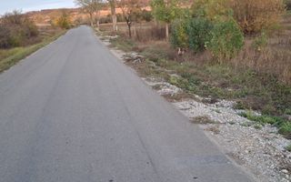 Teren extravilan | 3400 mp  | Hidiselul de Sus | Oradea | Bihor - Poză 4