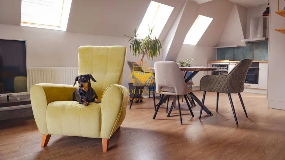 3 camere open space, parcare, Calea Turzii, Europa, Pet Friendly - Poză 2