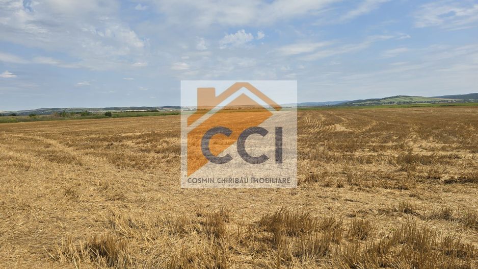 Teren intravilan– 50.000 mp, Bacău, Șoseaua Hol - Poză 6