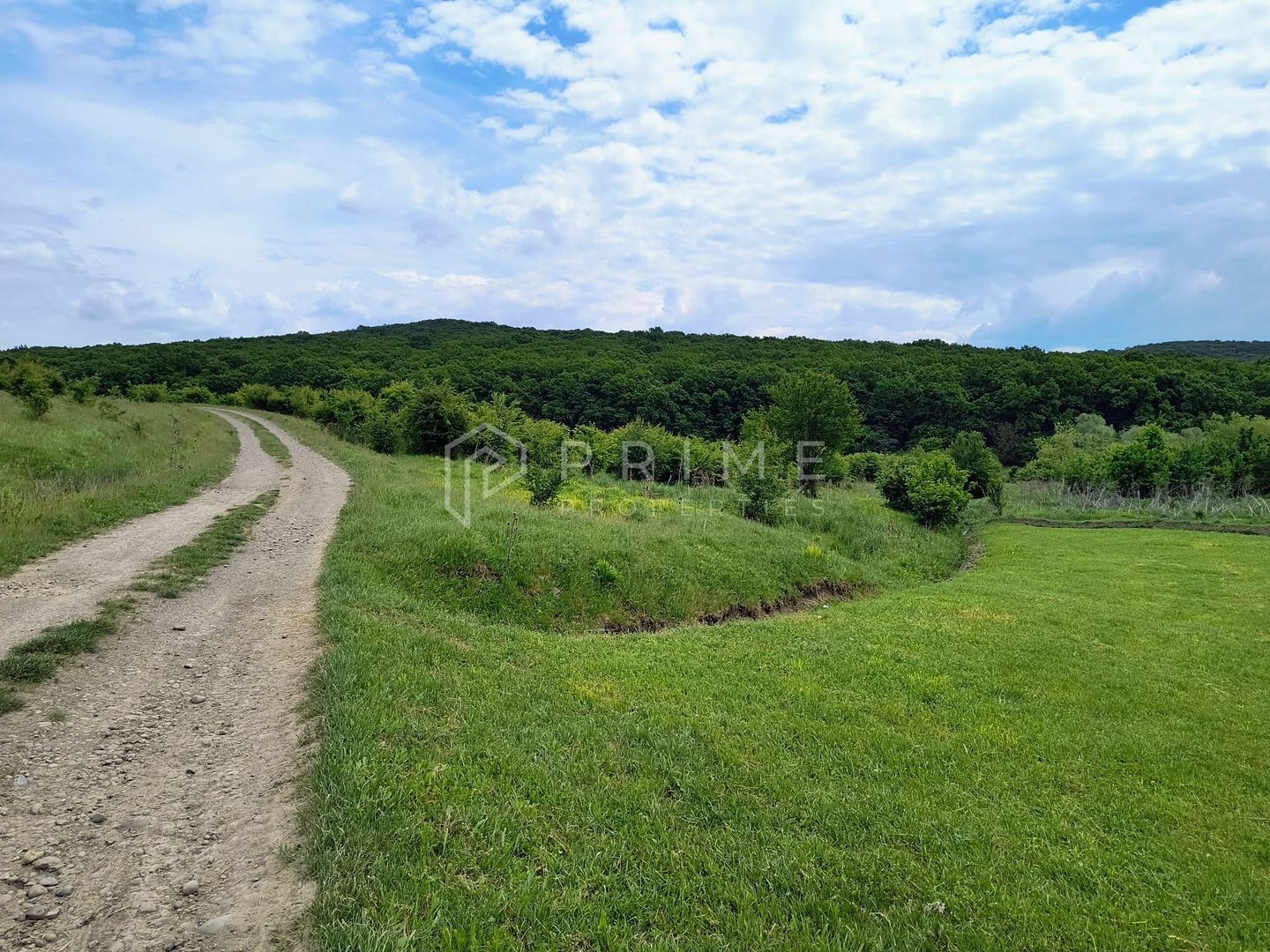 Oportunitate de investiție – 4 parcele în Corunca, 20 €/mp - Poză 2