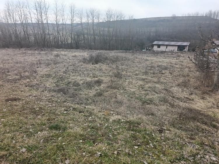 Teren intravilan, 675 mp, PUZ aprobat, front 14 ml, utilitati, Teleac - Poză 1