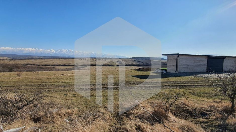 Teren Extravilan  | 11500MP | Zona Zorabia | 0% COMISION - Poză 2