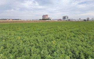 Teren de vânzare | 67 ari | Intravilan | Rădăuți - Poză 10