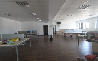 Spațiu industrial la sosea: Dumbravita - Giarmata - Poză 8