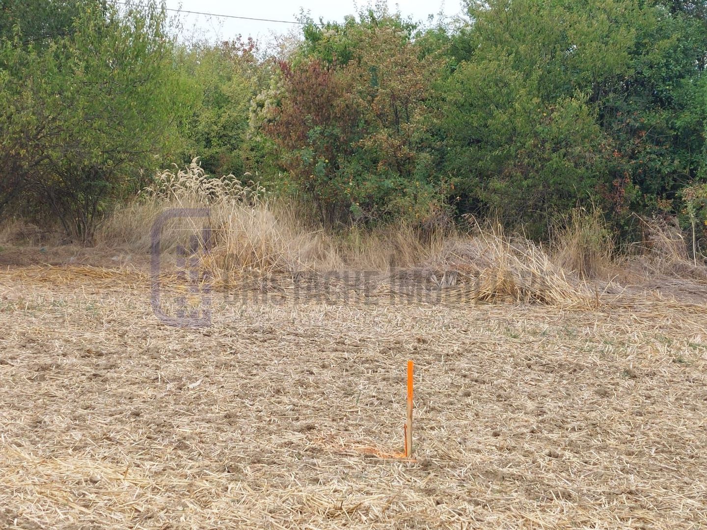 Teren intravilan, 527 mp, deschidere la strada de 17 mp_Teghes (Domnesti) - Poză 3