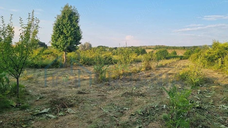Teren intravilan de vânzare în Curături, comuna Ciurea, Iași - 4.000 mp - Poză 2