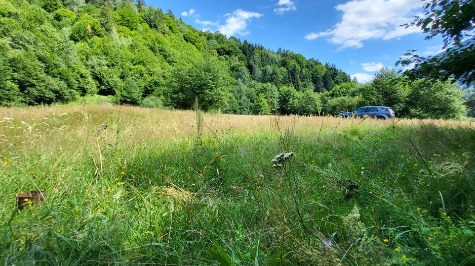 Plaiul Foii, teren pretabil casă de vacanță, pensiune, comision 0% - Poză 6