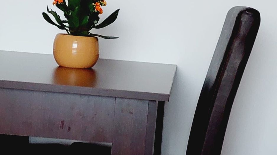 Apartament 2 camere Drumul Taberei Parc Moghioros - Poză 12