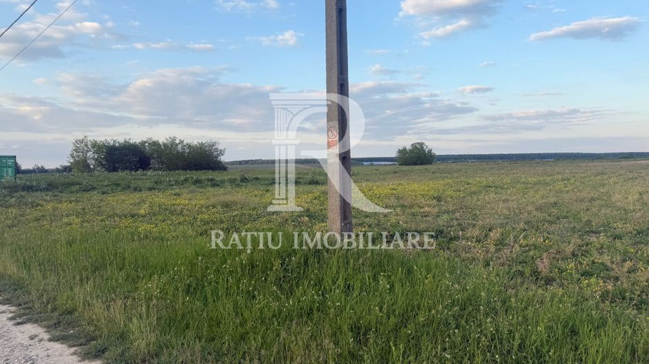 Teren extravilan | Păușa | Bihor - Poză 7
