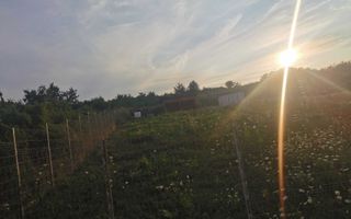 Teren Iasi barnova  visani, - Poză 7