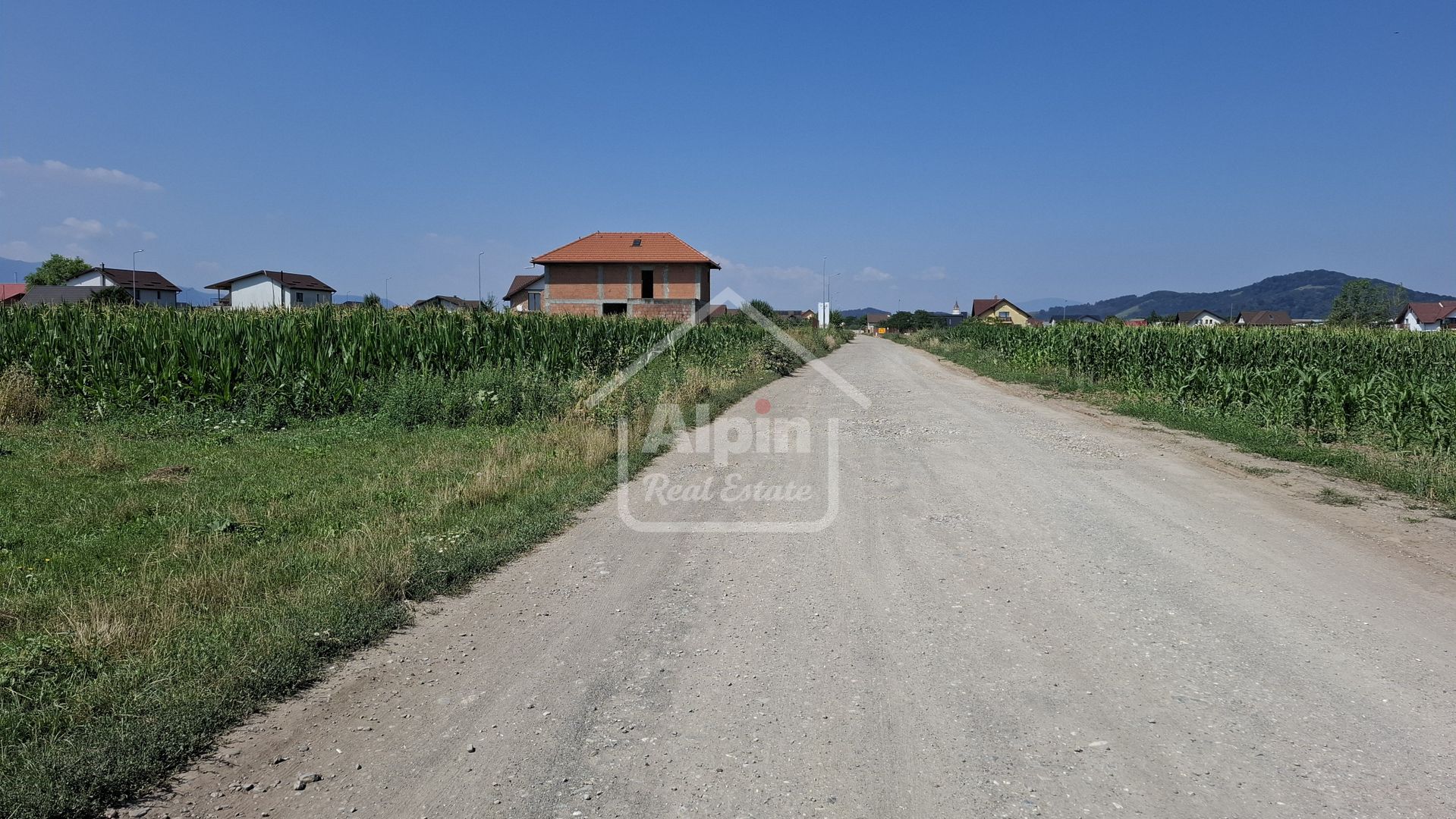 Teren Pretabil Investitie Harman - Poză 18