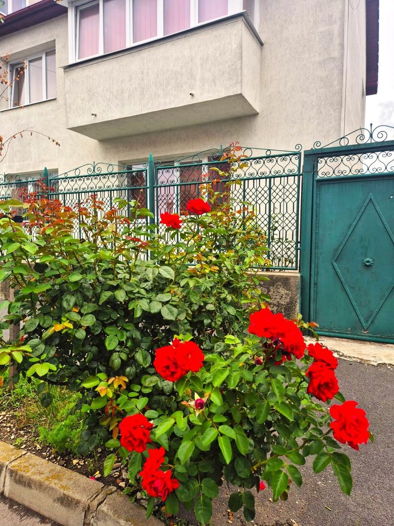 Casă pretabilă investiție, spațioasă, singur în curte, 600 mp teren - Poză 3