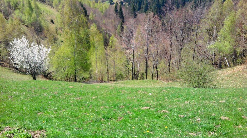 teren intravilan in zona Magura Bran - Poză 27