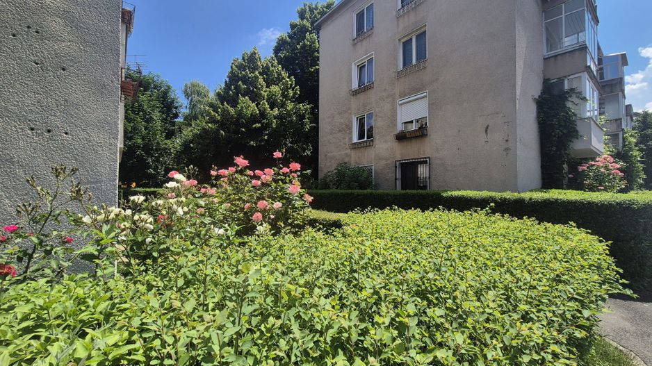 Centru Civic, apartament pet friendly - Poză 2