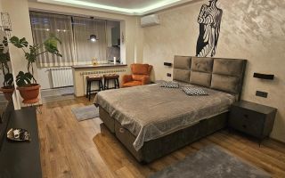 De inchiriat apartament 1 camera Ultimul Leu, etaj 5/7, 400 euro - Poză 9