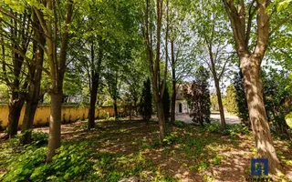 Vila cu 6 cam si 6 bai- 3465 mp teren- ideala pentru dezvotarea unui bussines  - Poză 42
