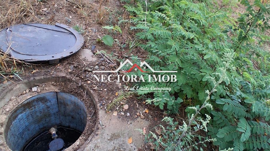 NECTORA IMOB-Teren Intravilan PALEU, 676 mp, Autorizatie Constructie - Poză 3