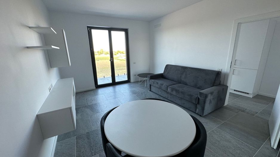 Apartament 1 camere Torontalului - Veterinary Faculty - Poză 5