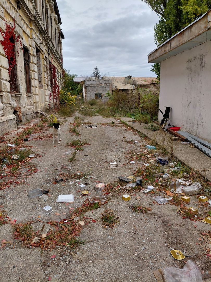 De vânzare – Ansamblu de construcții în Galați, zona Piața Centrală - Poză 7