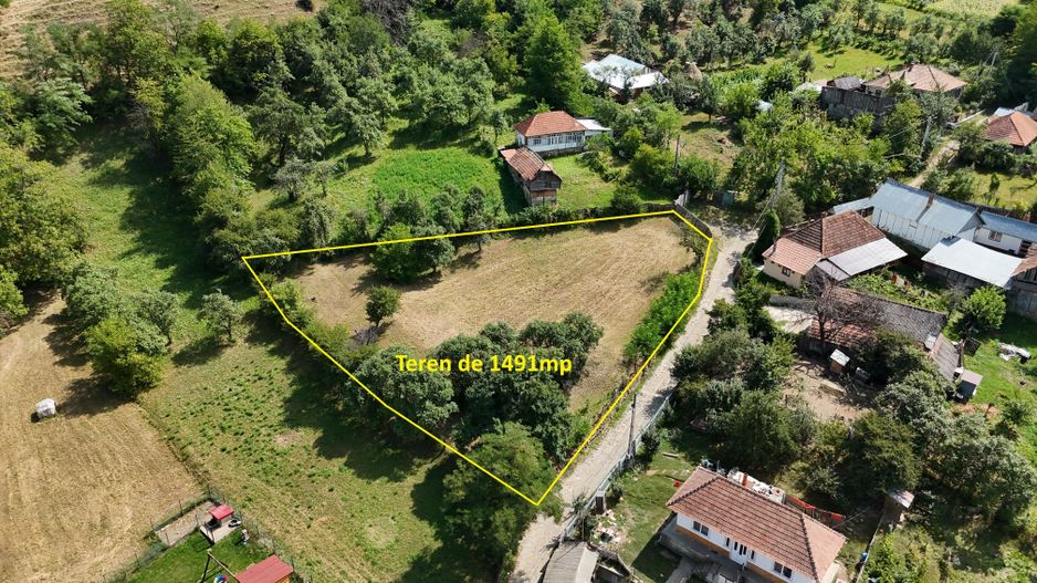 Teren de Vanzare in Plopu - Darmanesti, cu toate utilitatile - Poză 1