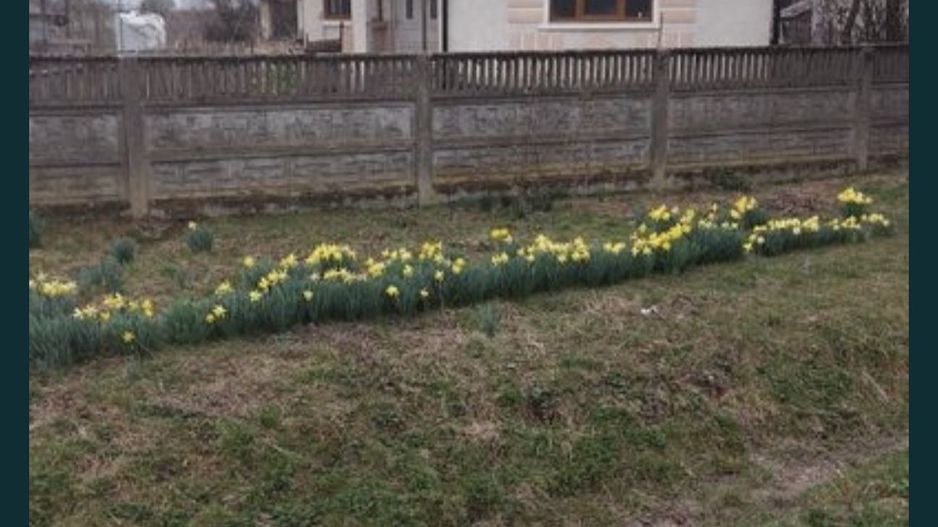 Casa Valea Vinului - Poză 1