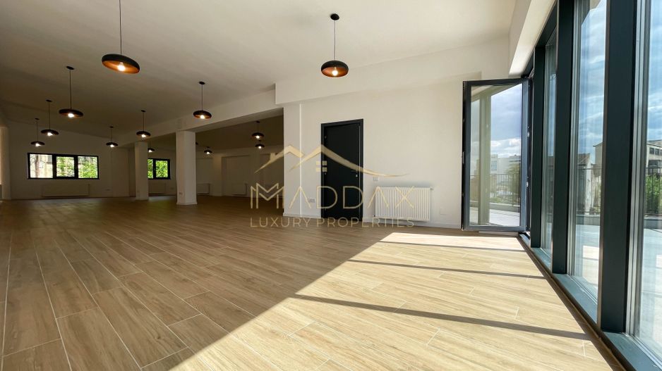 Spatiu comercial S+P // *362mp* // Victoriei - Poză 2