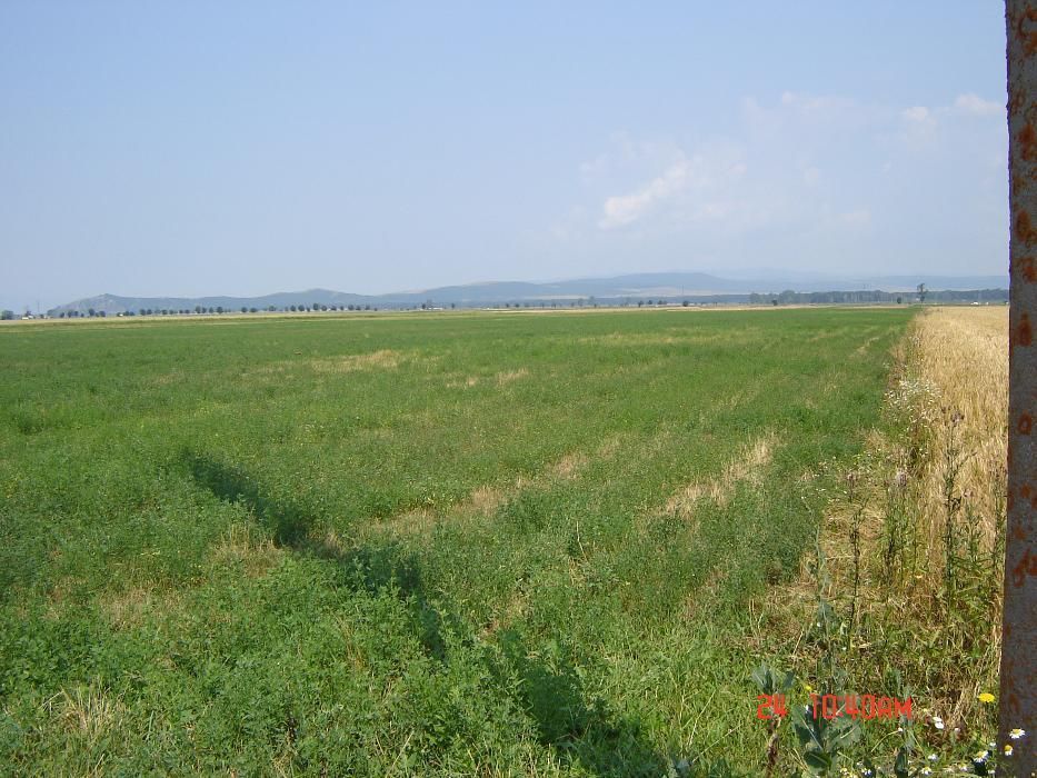 Teren extravilan Prejmer - Poză 4