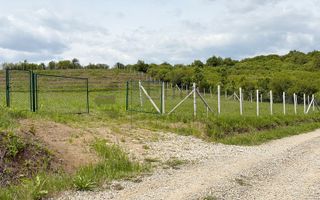 Teren 9461 mp cu panorama in Cartierul Podgoria din Oradea - Poză 6