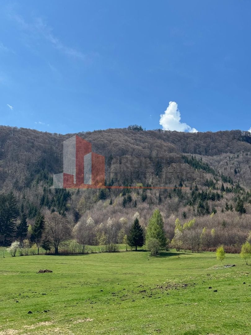 Terenuri Bran - Predelut  Priveliște către Bucegi și Postăvaru - Poză 12