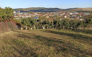 Teren intravilan 730 mp-livada-vedere panoramica-Valea Sigmirului - Poză 3