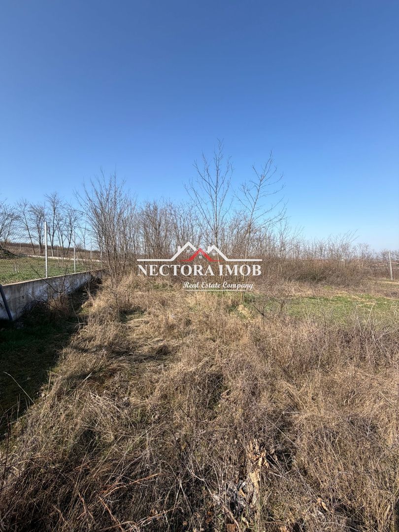 NECTORA IMOB-Teren Intravilan Lac Paleu, 886 mp, Front 27 ml,Utilitati - Poză 1