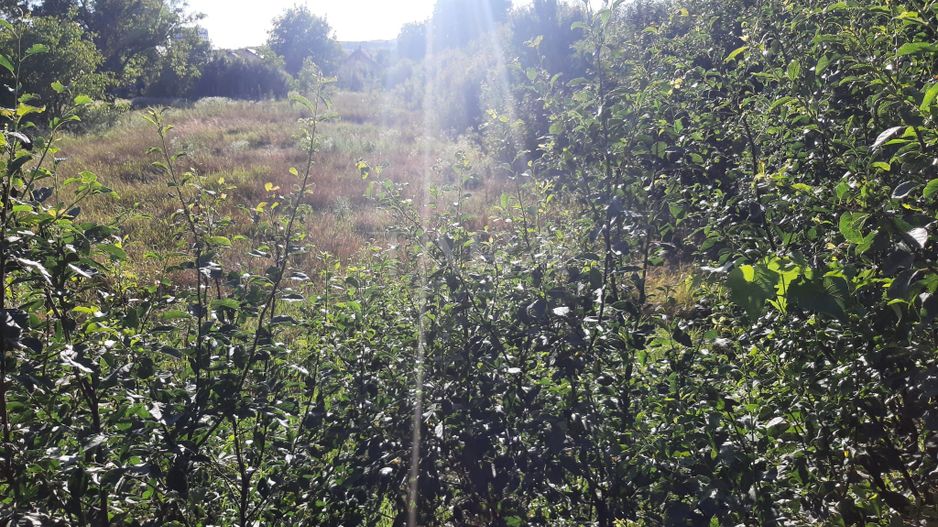 Exclusivitate! Casa în Zona Dâmbul Rotund, 3046mp teren. - Poză 4