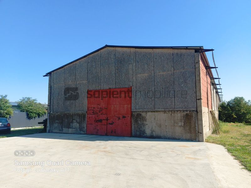 Hala ideala pentru depozitare str.Santaului - Poză 1