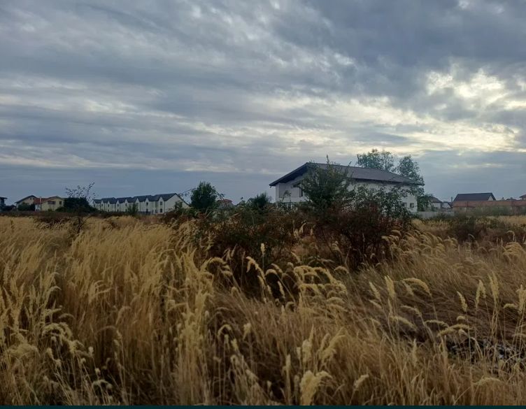 Teren Domnesti, strada Magnoliei - Poză 6