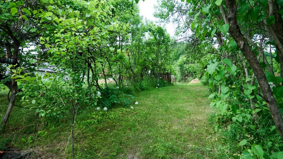 Casa cu teren generos - 4696 mp Apa Sarata - Campulung !! - Poză 7