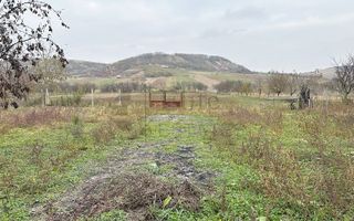 Casa cu 3 Hale si teren 8000 mp in Ulileacu de Cris, Bihor - Poză 12