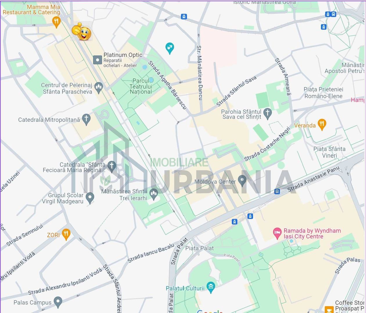 Apartament 3 camere ultracentral, Bd. Ștefan cel Mare, Iași - Poză 8