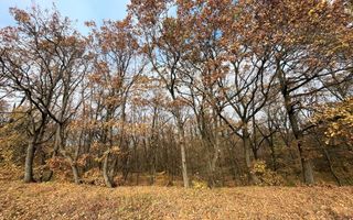 Teren de vanzare,  zona exclusivista,  2400MP - Poză 3