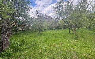 TEREN INTRAVILAN 7018 MP CAMPULUNG - Poză 20