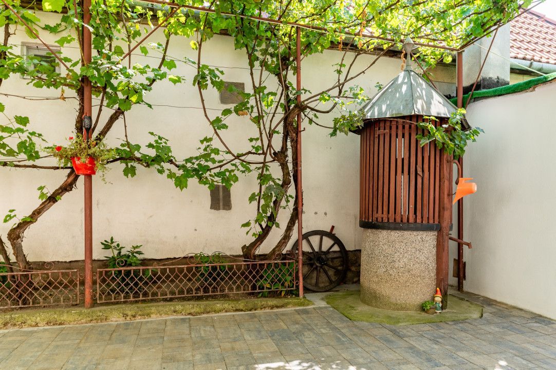 Casa + Pensiune deosebita - Orlat, Sibiu - Poză 53