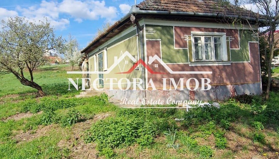 NECTORA IMOB-Casa 70 mp cu teren 951 mp, front 16 mp, Paleu Centru - Poză 3