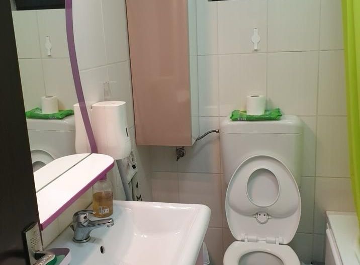 AP. 2 CAMERE DRUMUL FERMEI, PET-FRIENDLY, BLOC NOU, METROU 10 MINUTE - Poză 6