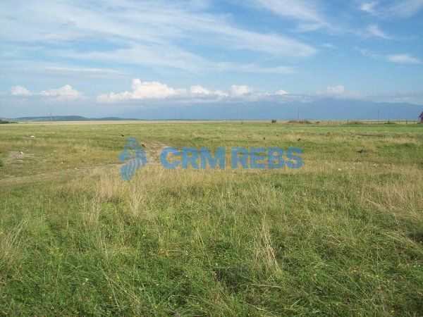 Anunt de test - Teren 5500 mp Cluj-Napoca in Zona Soporului - Poză 4