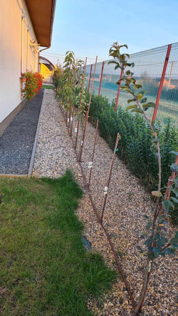 Casa  pasiva-deosebita-Sag manastire - Poză 31