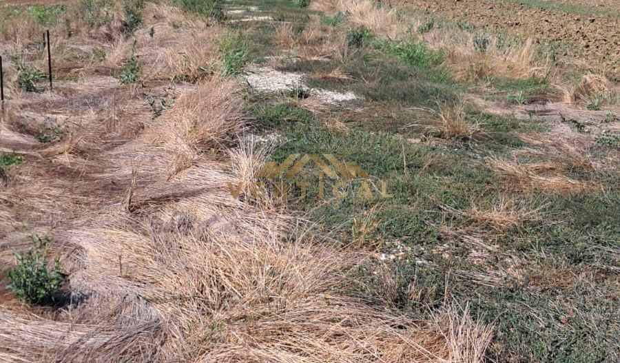 Teren Intravilan 500 mp de Vânzare – Vidra - Poză 5